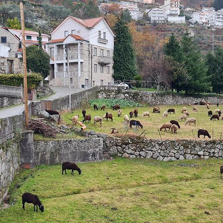 Casa Da Cantareira Loriga Eksteriør bilde